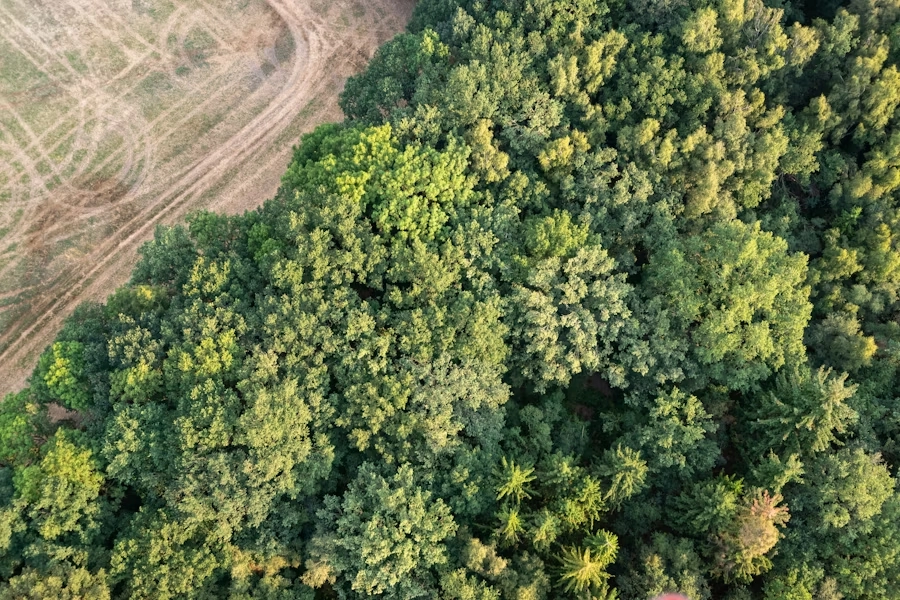 Фото на заднем фоне