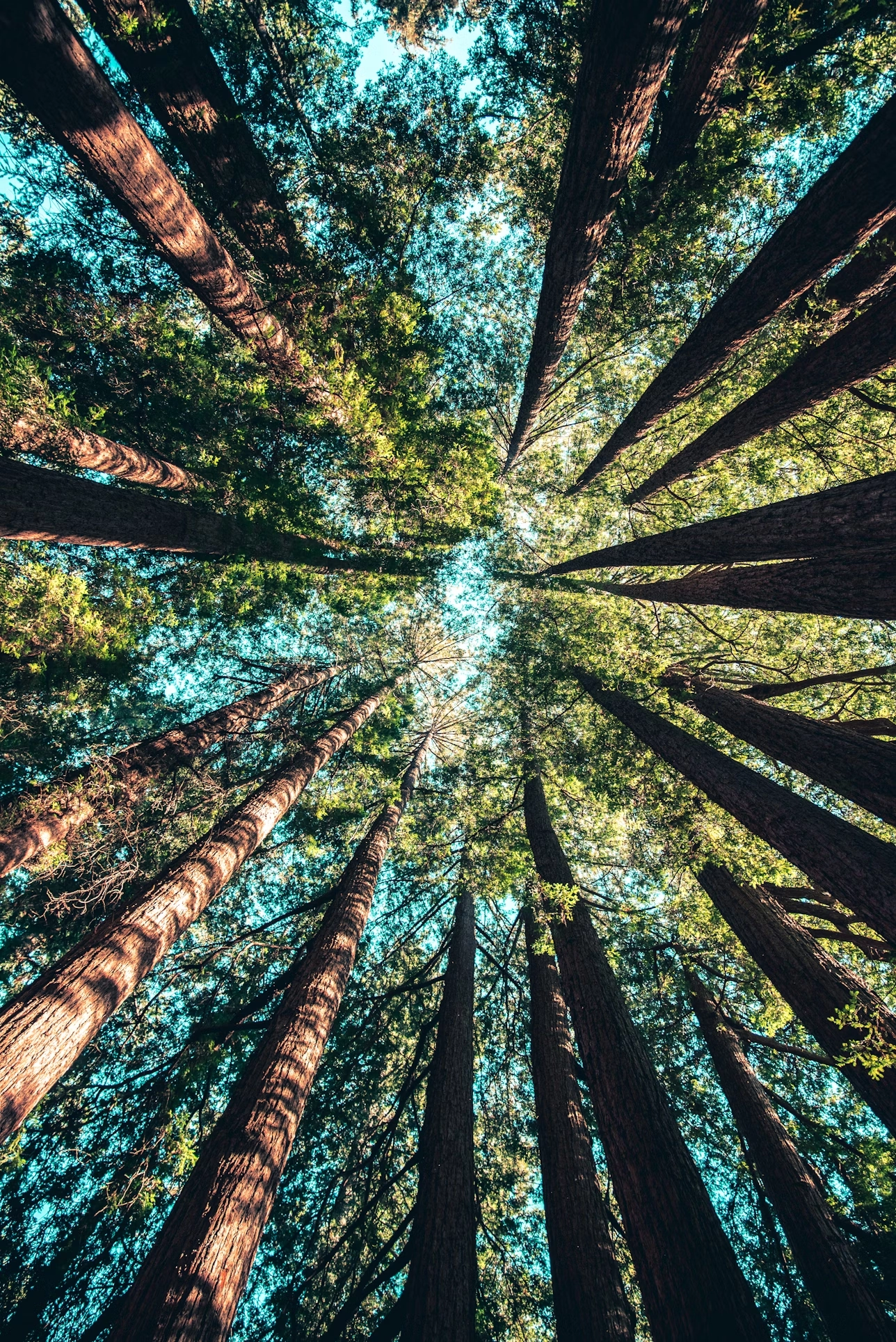 Фото о проекте 1